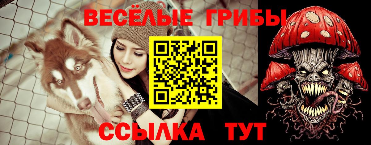 Наро-Фоминск  Галлюциногенные грибы Psilocybine cubensis  Вход с VPN 